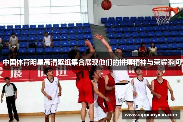 中国体育明星高清壁纸集合展现他们的拼搏精神与荣耀瞬间