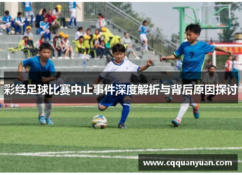 彩经足球比赛中止事件深度解析与背后原因探讨